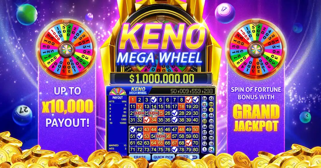 3l bet betanp cassino entretenimento